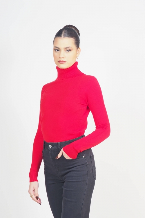 Soft knit turtleneck top Danny